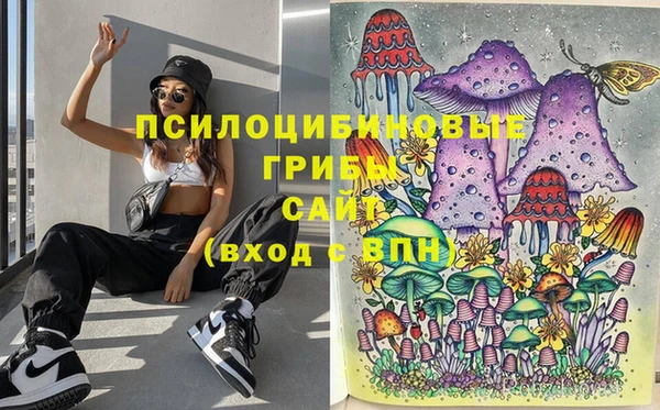 трава Абинск
