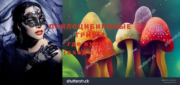 МДПВ Абдулино